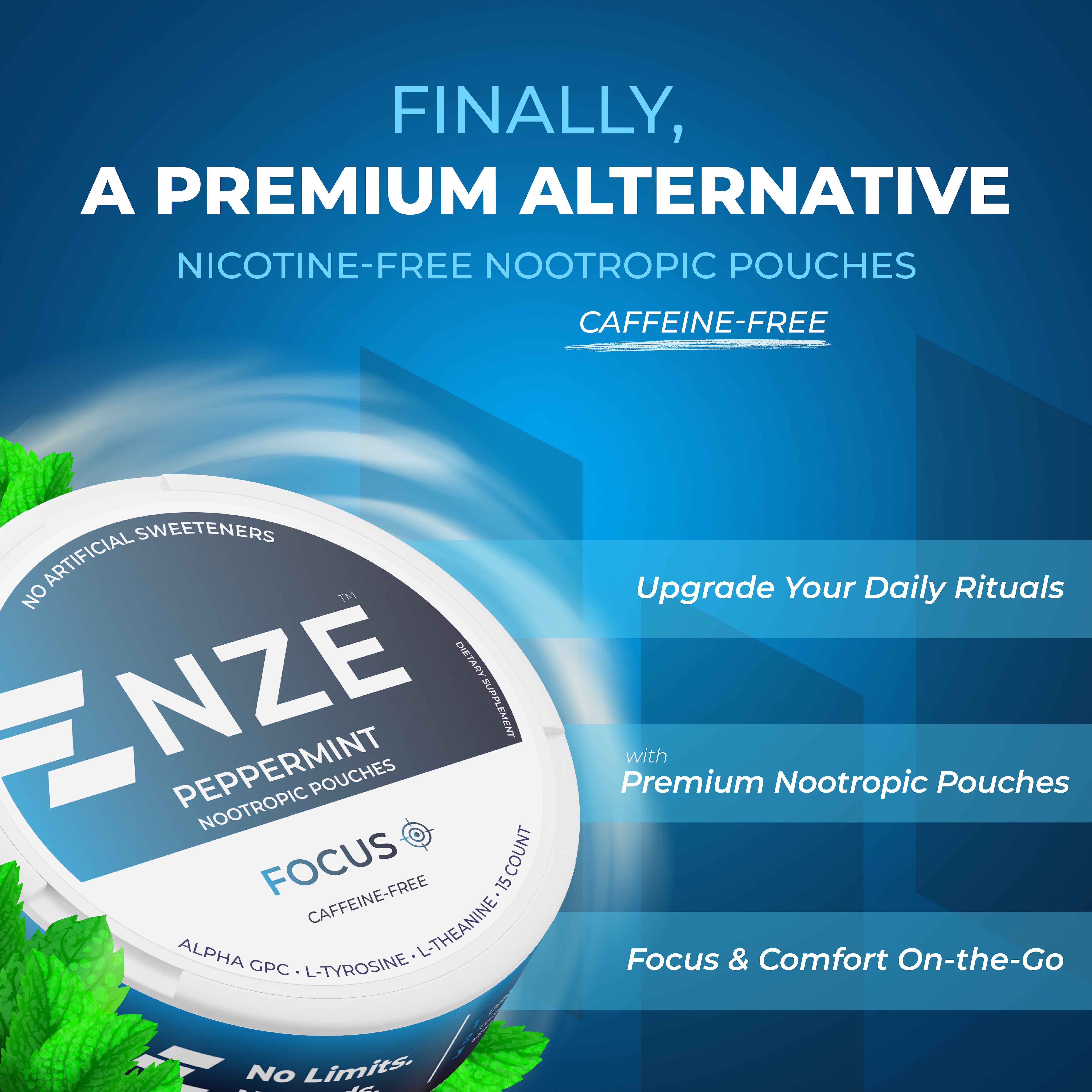 NZE Peppermint Focus Nootropic Pouches (Caffeine Free) - 5 Pack