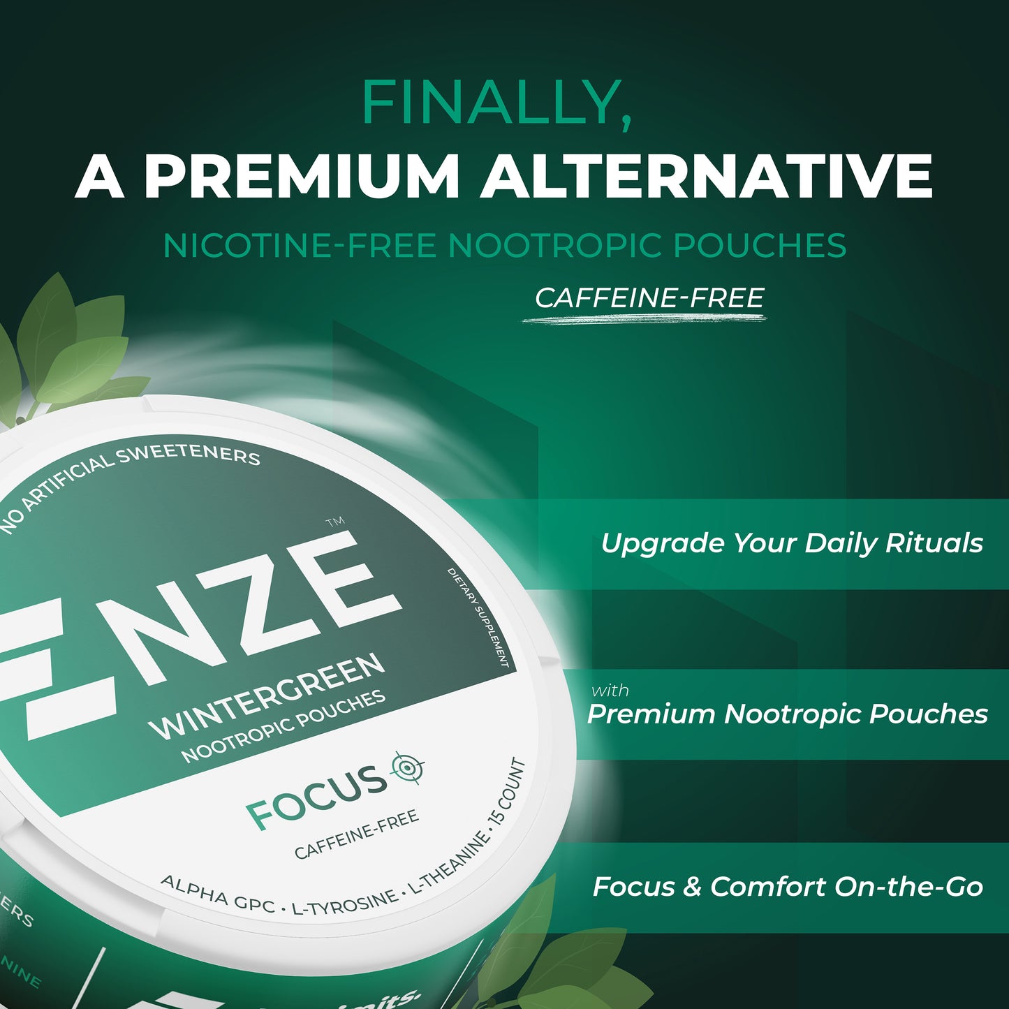 NZE Wintergreen Focus Nootropic Pouches (Caffeine Free) - 5 Pack