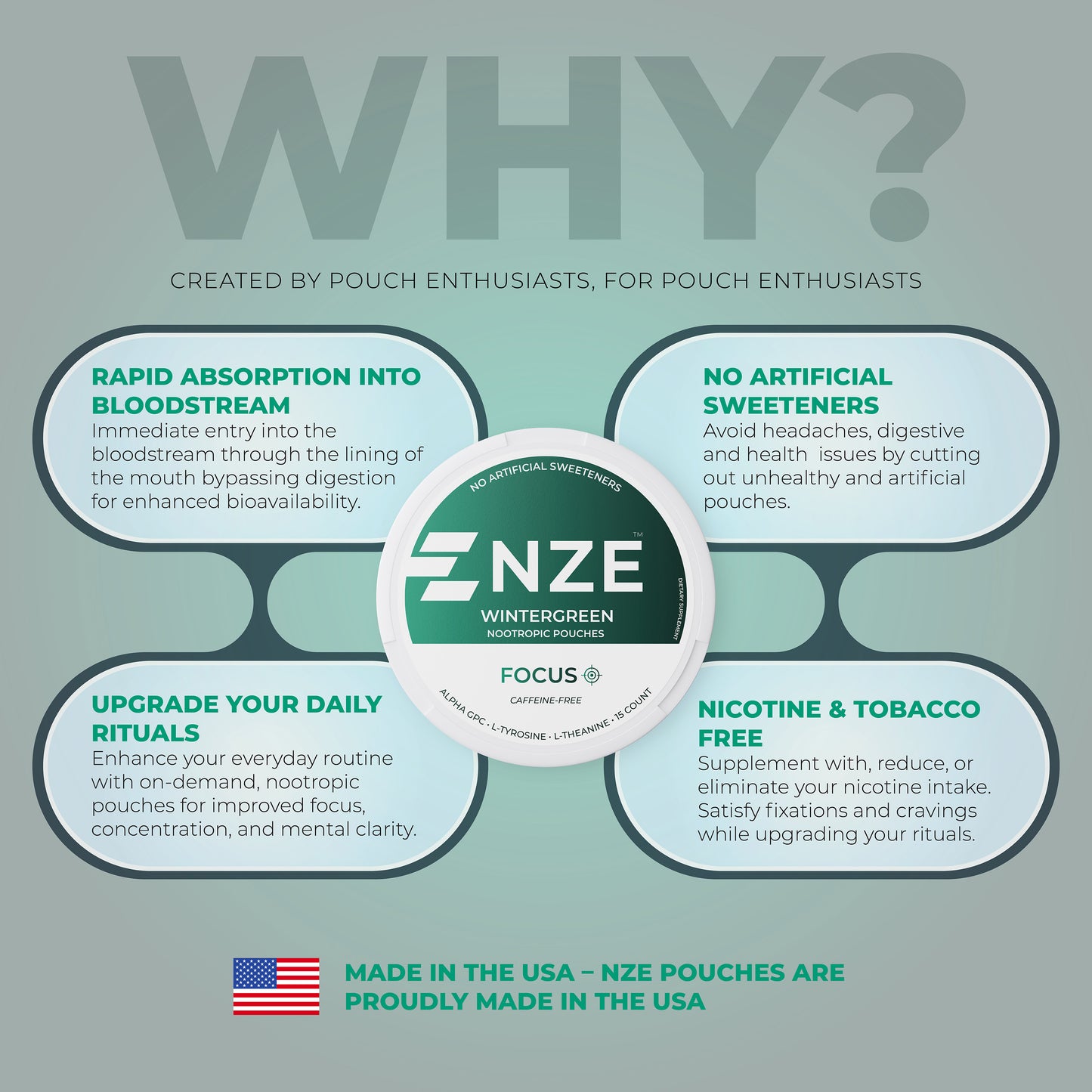 NZE Wintergreen Focus Nootropic Pouches (Caffeine Free) - 5 Pack